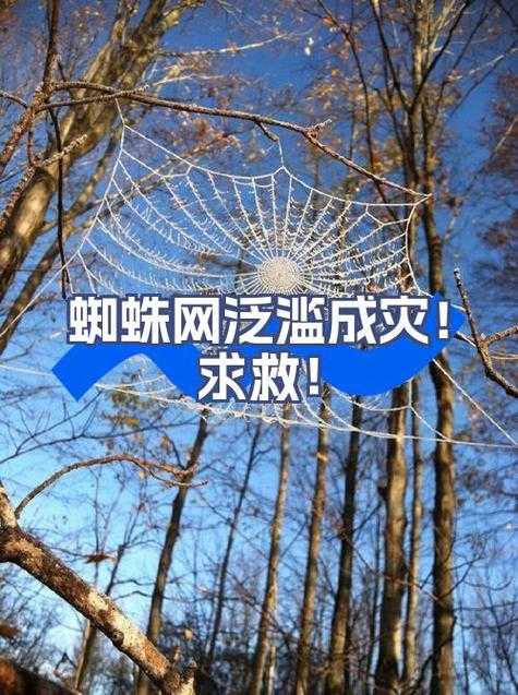 章贡区新增病例折射区域防控网漏洞