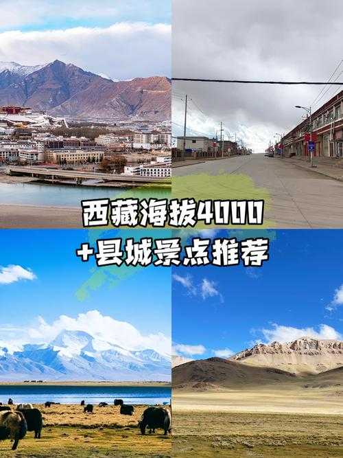 31省份多点散发，曲水县为何成为西藏唯一疫情热点？