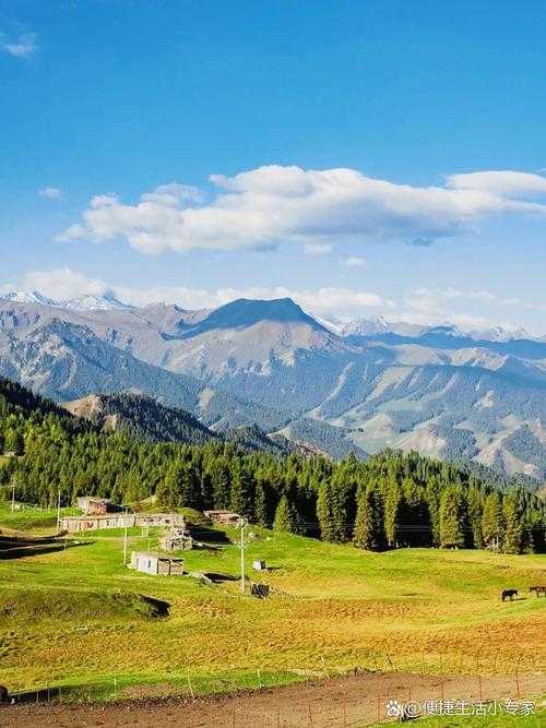 新疆奇台：单日新增15例，绿洲要地为何成防控难点？