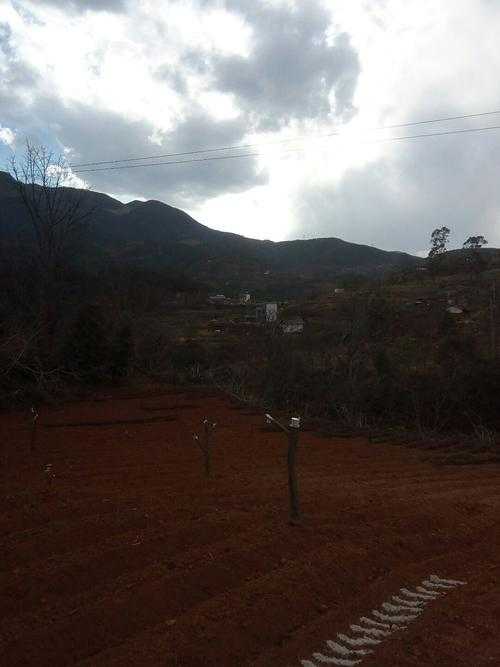 31省份多点散发，云南永胜县新增5例引关注