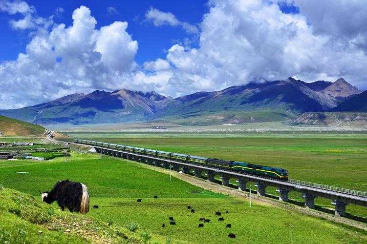 高原孤岛的防疫壁垒：右玉县三年零确诊背后的地理密码