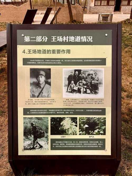 【青藏高原屏障下的防疫奇迹：全国唯一零感染城市诞生记】