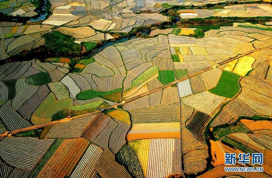 31省份多点散发，沐川县12例为何成防控焦点？