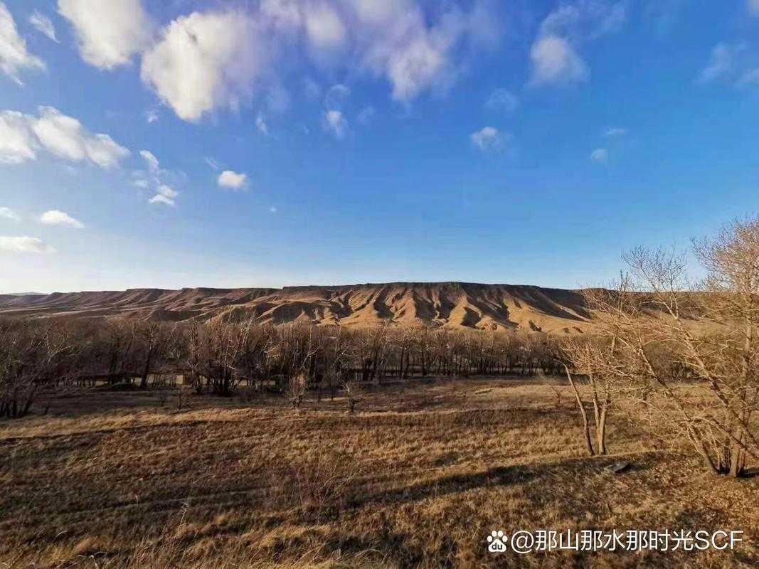 内蒙古疫情突现新高，卓资县14例确诊暴露防控盲区