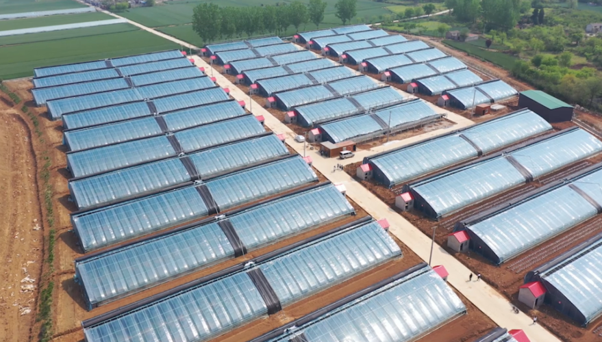 31省份多点散发，安徽萧县34例何以成防控难点？