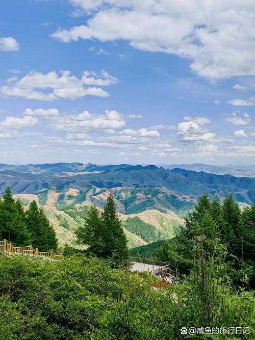 高原绿肺下的防控网：乌兰浩特为何成为内蒙古低风险样本