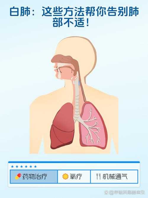 成都JN1分支白肺风险应对策略：新冠疫情关键防控措施解析