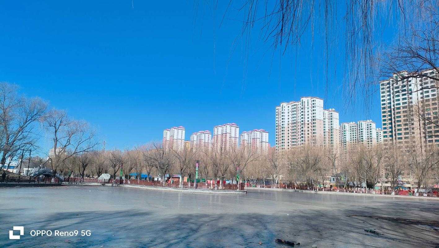 东北平原屏障下的灯塔市：疫情波折与防控韧性