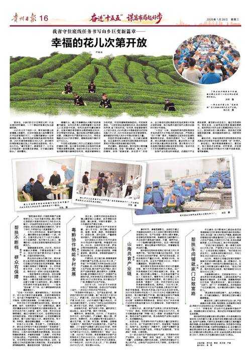 31省份多点散发，贵州湄潭3例何以守住防线？