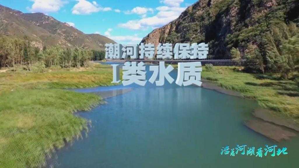 【31省份多点散发，河北沽源为何成为疫情中的“孤岛”？】