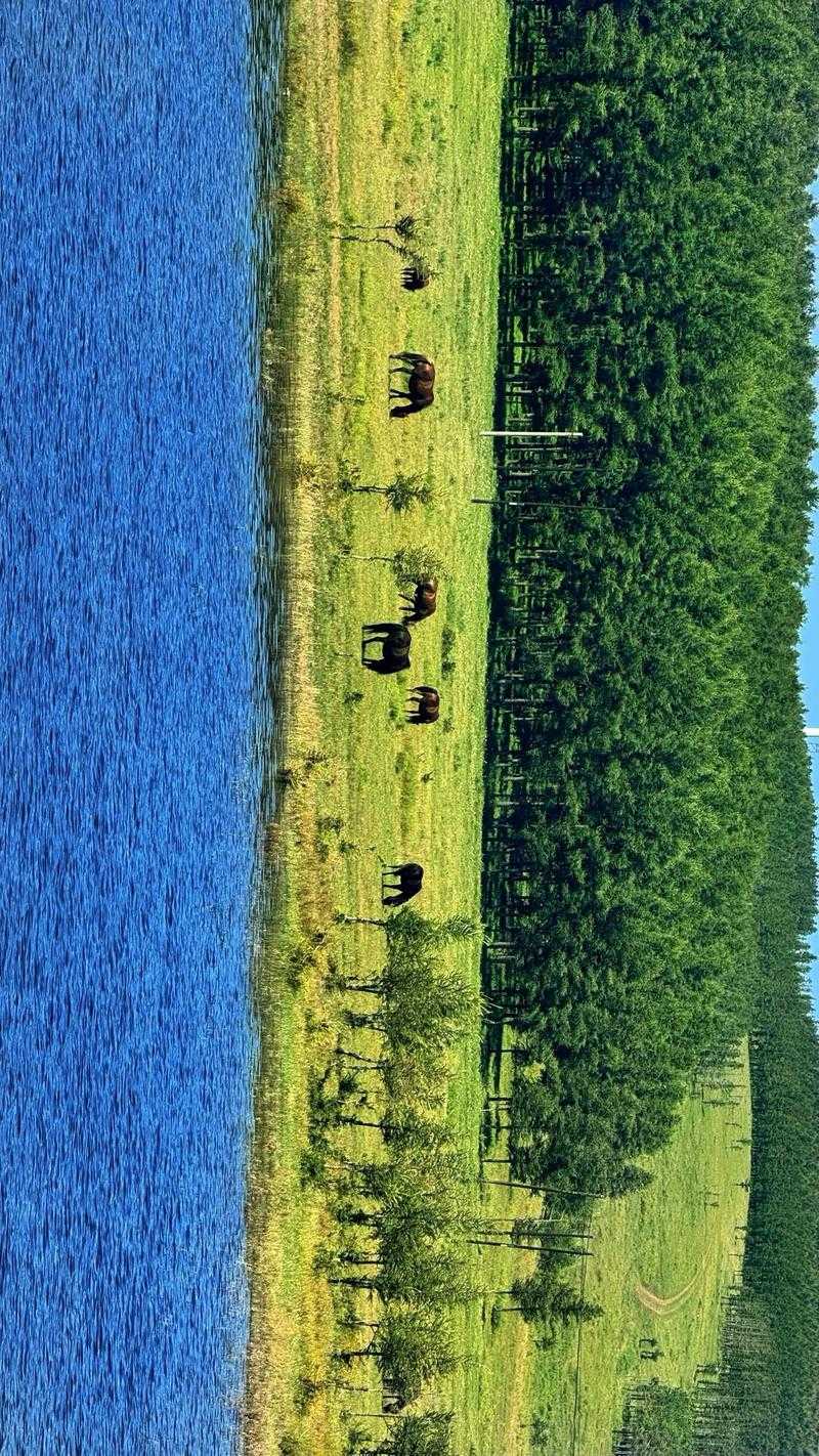 内蒙古新增5例，乌拉特中旗为何成防控焦点？