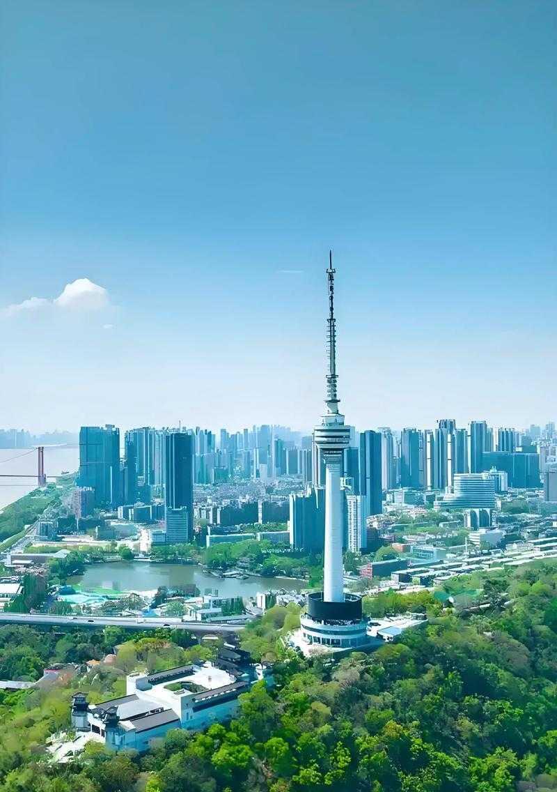 31省份多点散发，汉阳新增21例为何成防控焦点？