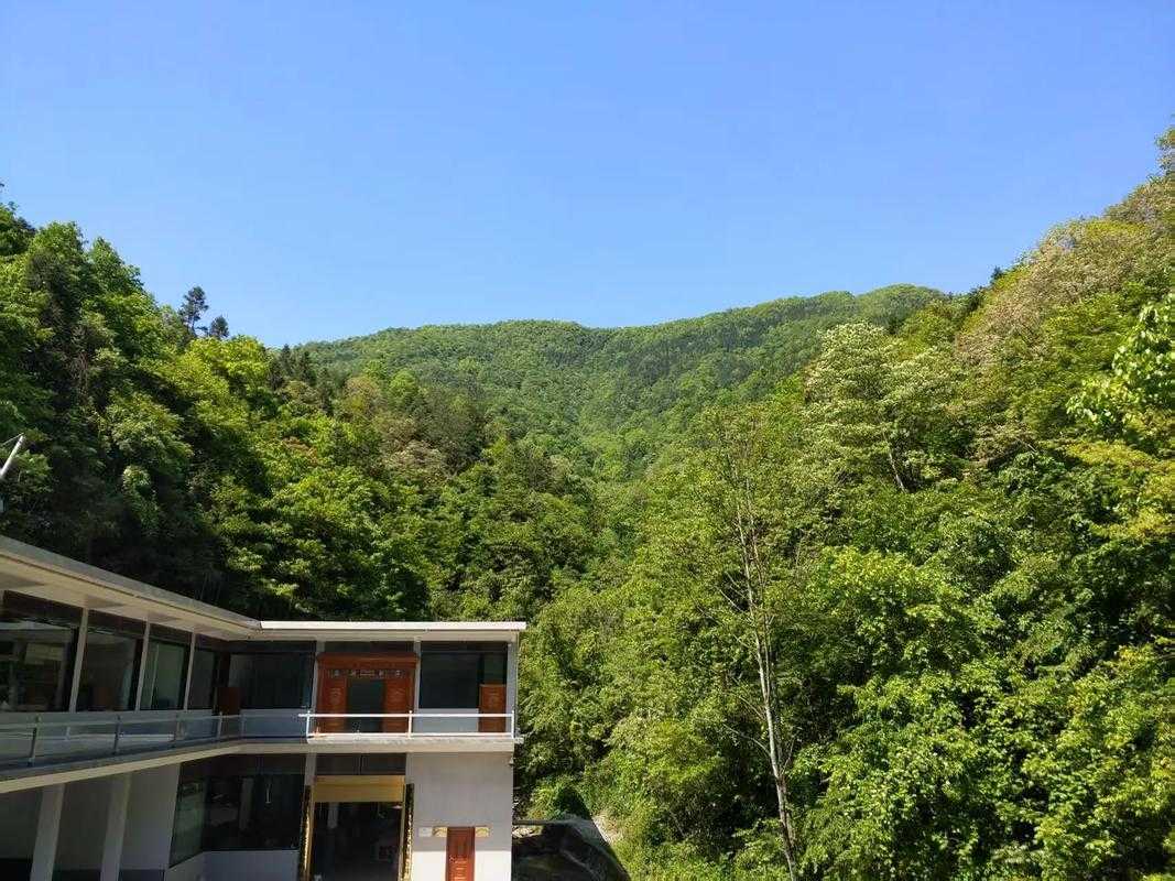 31省份多点散发，鹤峰1例为何引发关注？