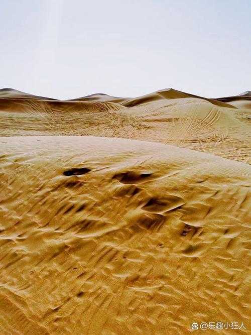 内蒙古阿拉善左旗零新增背后的沙漠防线