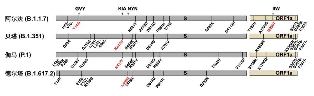 2020-2022年西藏免疫逃逸株疫情医疗资源调度实践分析