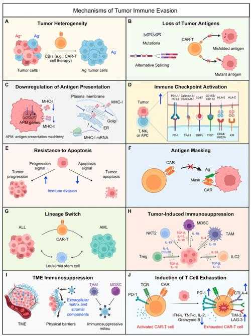 2020-2022年黑龙江免疫逃逸株疫情特征与防控应对