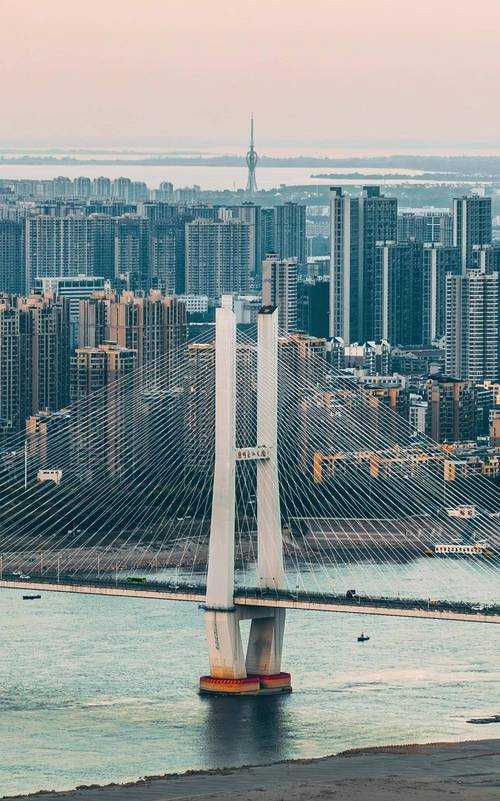 31省份多点散发，沙市区新增13例暴露出的防控盲区