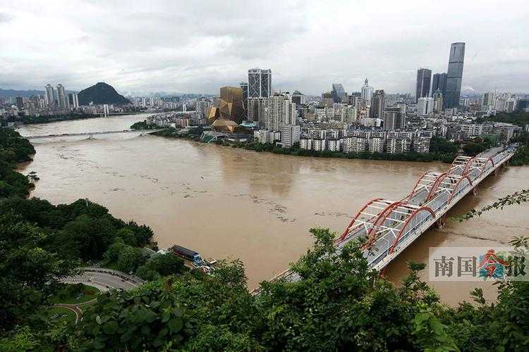 【31省份多点散发，福建建阳7例成防控焦点】