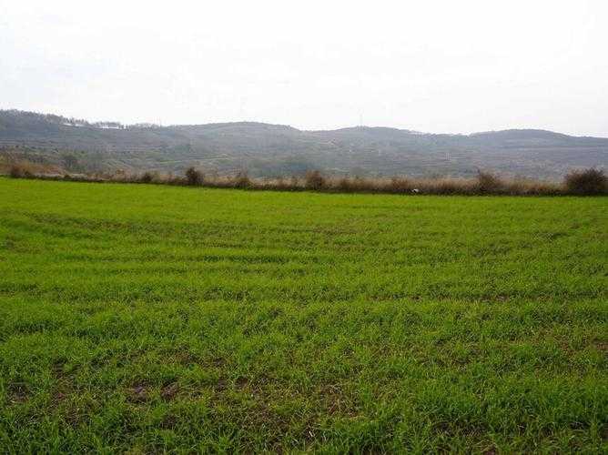 陇中腹地的防控战：清水县疫情如何突破地理屏障？