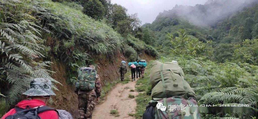 甘肃文县新增5例确诊病例，青藏高原疫情防线面临考验