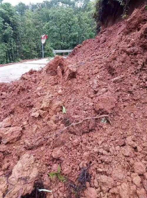 31省份多点散发，龙南市7例为何牵动赣粤交界防线？