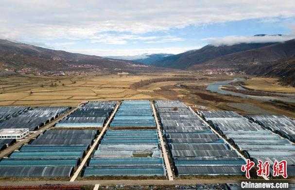 31省份多点散发，炉霍县新增3例为何引关注？