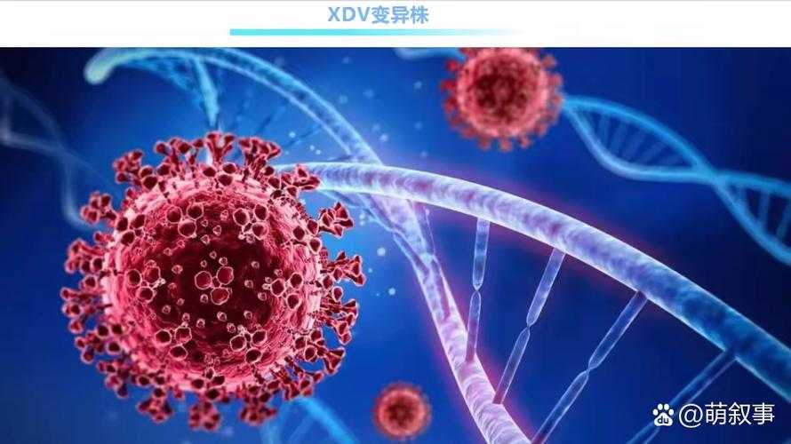 新冠变异株预防指南：2020-2022年疫情核心策略