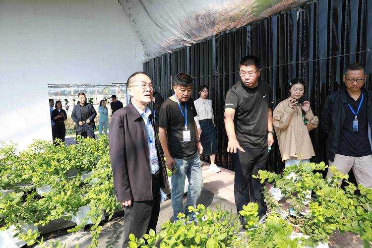 31省份多点散发，山西大同3例引防控关注