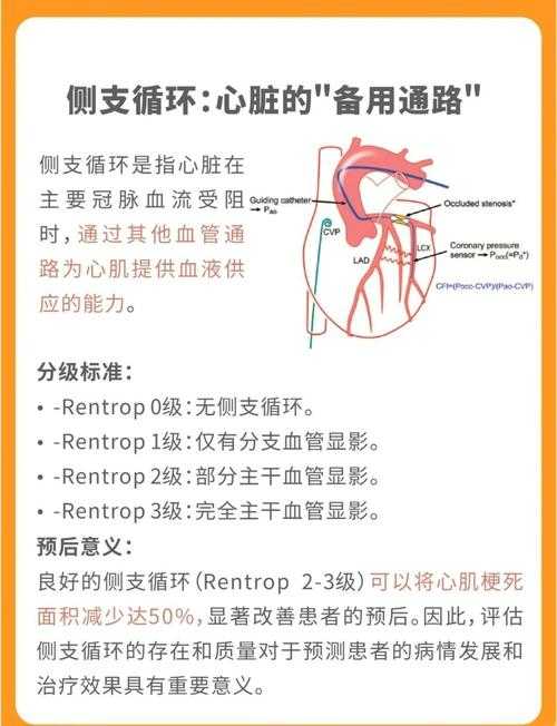【2020-2022新冠疫情期间低烧不退是否为复阳？甘肃专家解析关键指标】