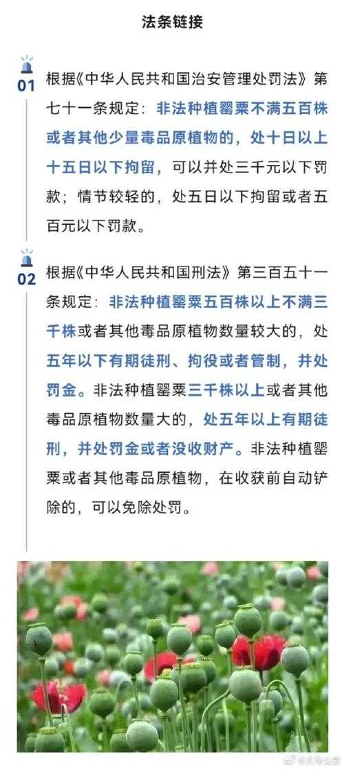 2020-2022杭州变异毒株症状辨别要点