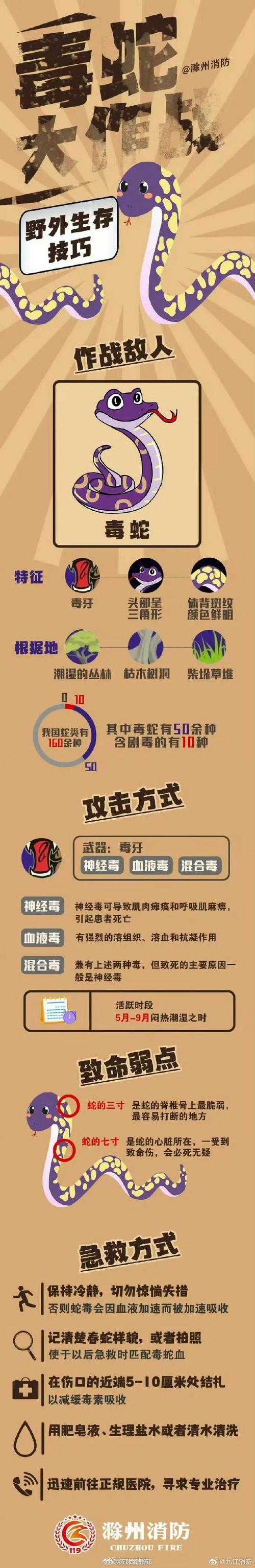 林周县零感染纪录：青藏高原防疫如何打破季节宿命？