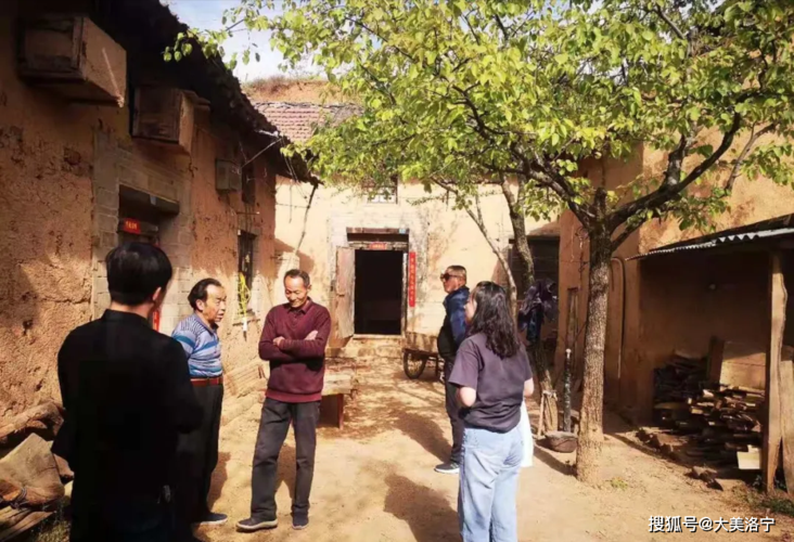 31省份多点散发，河南洛宁为何成防控关键？