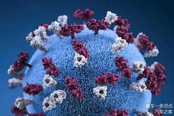 【山东防疫新提醒：奥密克戎亚型春节高发，阳康人群需警惕】