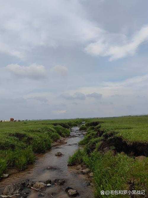 【草原腹地的隐忧：海拉尔区疫情反复背后的防控挑战】