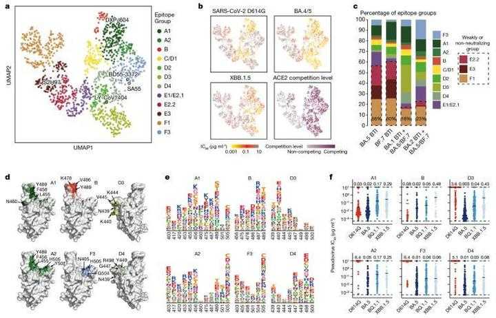 免疫逃逸株感染者特征解析——2020-2022年新冠疫情关键数据综述