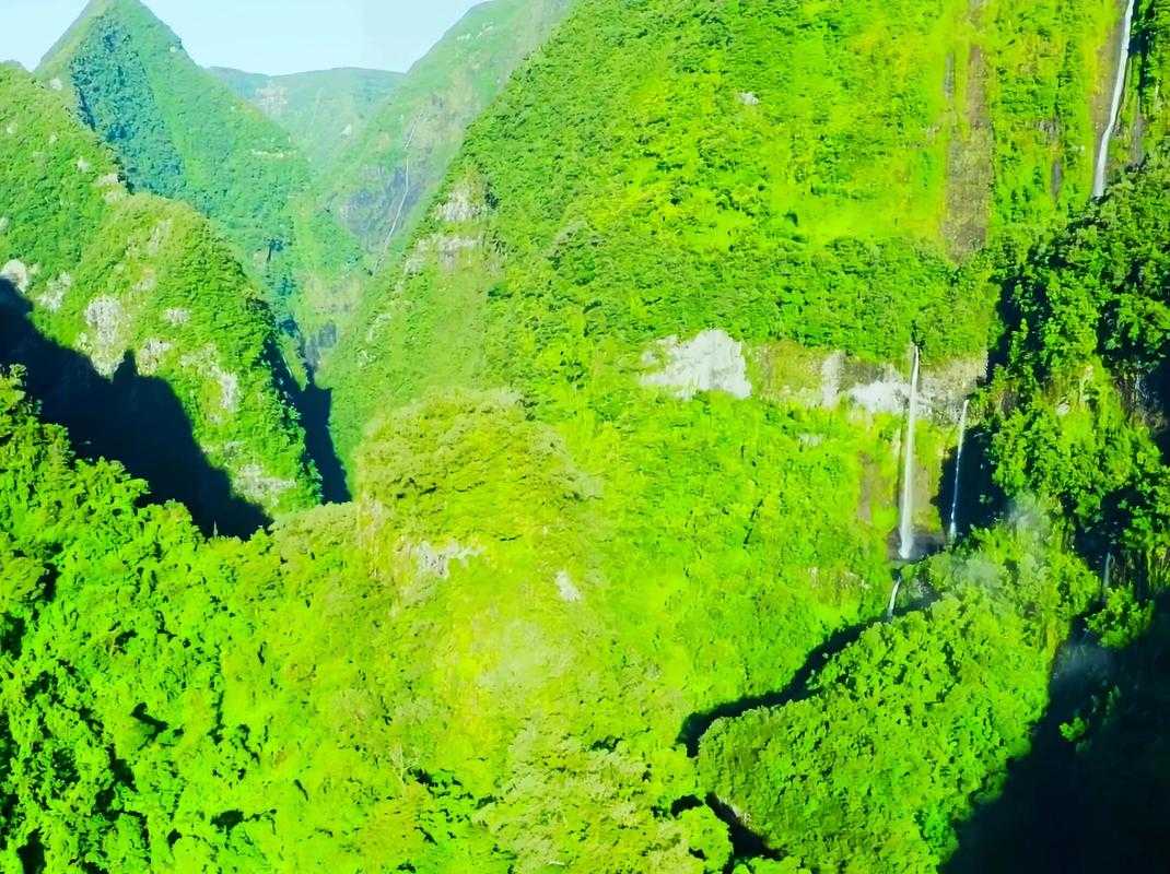 湖南平江“疫中绿洲”：十万大山阻隔病毒的自然屏障