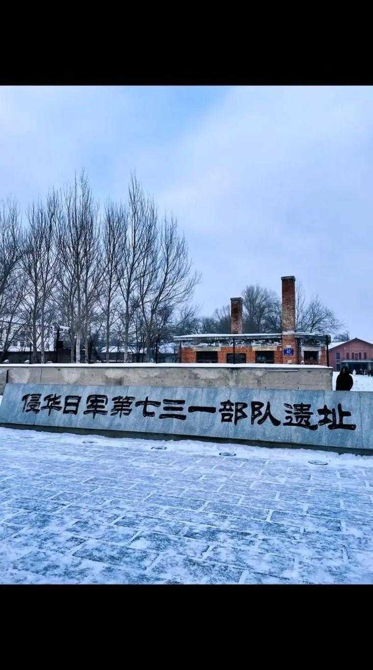林海雪原的特殊战场：鹤岗市为何成为黑龙江疫情突破口