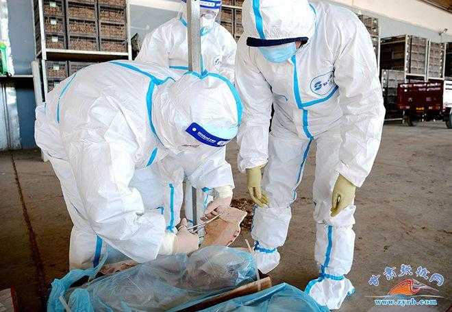 31省份多点散发，高邮市新增5例如何牵动华东防线？