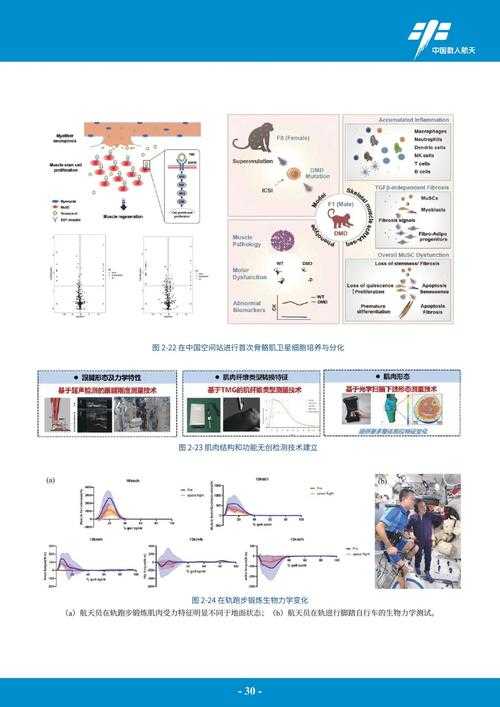 新型冠状病毒食欲不振与复阳关联性解析——2020-2022年云南专家研究综述