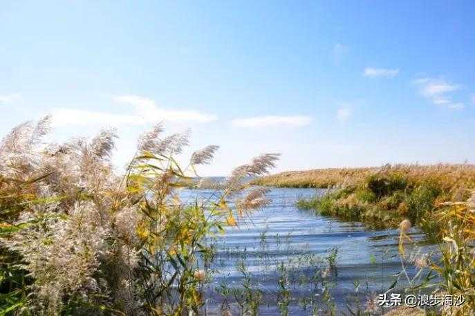 川南小城的疫情漩涡：富顺县7例确诊折射跨区域传播链