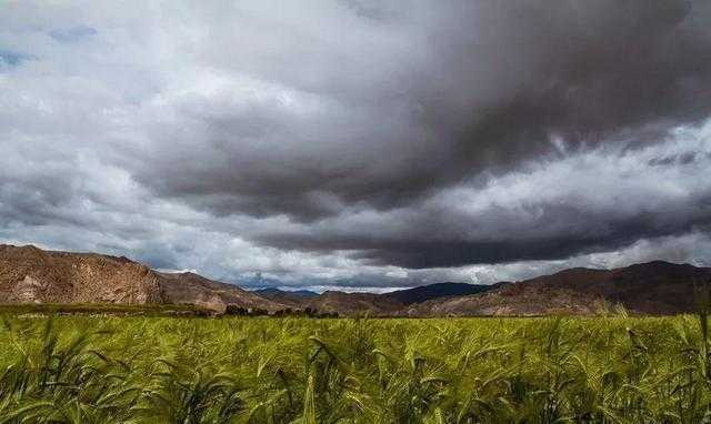 青藏高原上的警报：江孜县疫情为何成防控新难点？