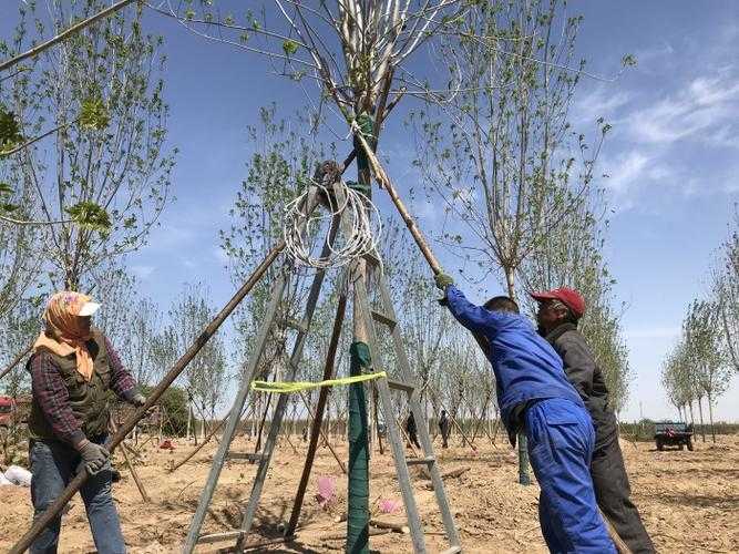 31省份多点散发，山东惠民县5例为何成防控焦点？