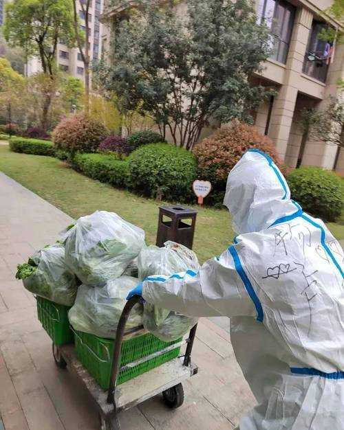 31省份多点散发，平房区5例成防控新焦点？