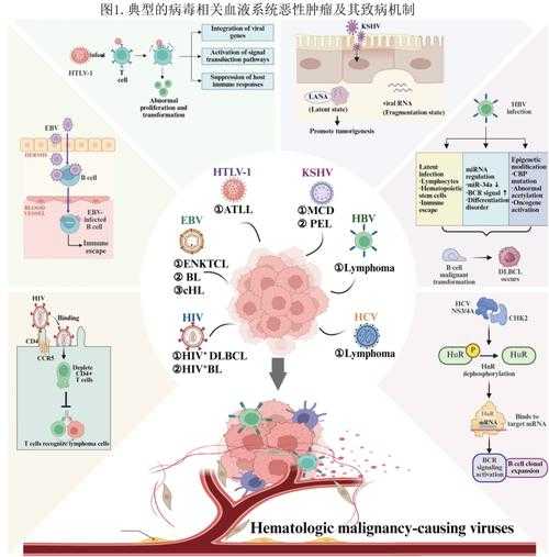 免疫逃逸株威胁下的防疫屏障构建与突破2020-2022疫情实录