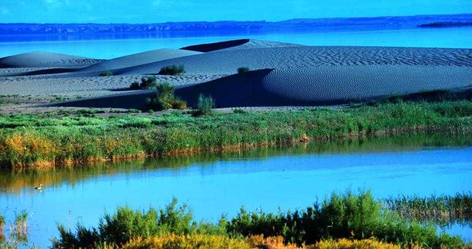 云南高原屏障下的防疫奇迹：昆明如何实现连续42天本土零新增