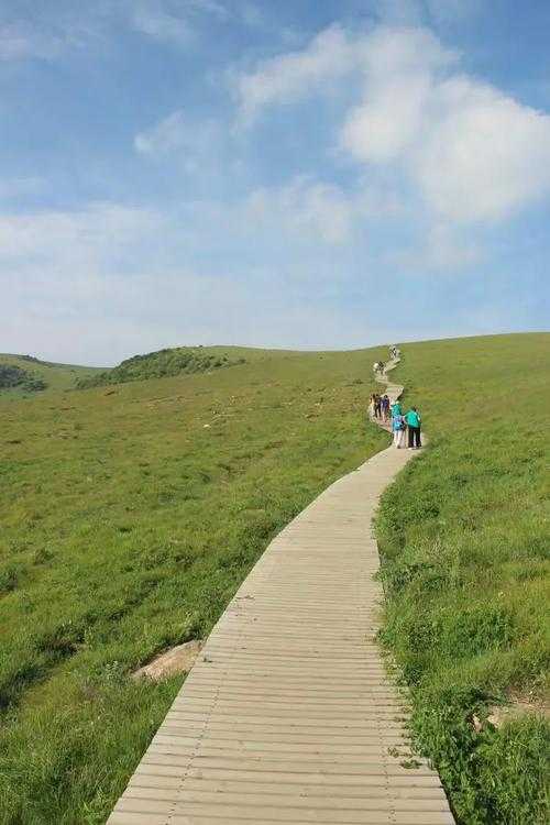 晋南高原的隐忧：霍州市疫情波动与山西防控网的临界考验