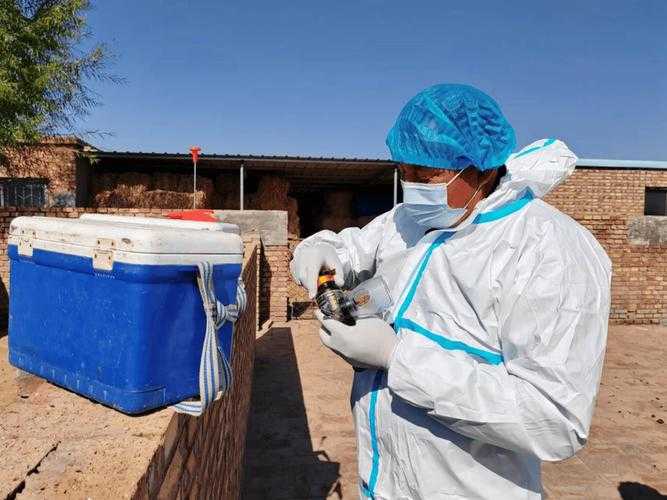 内蒙古高原上的坚守：鄂托克旗三年零星病例下的防疫图景