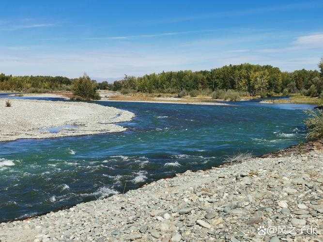 31省份多点散发，新疆哈巴河县新增5例引关注