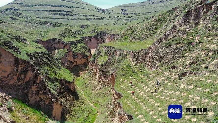 贵州山地屏障下的低感染率：贞丰县为何成为防控样本？