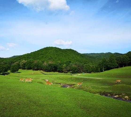 东北小城的防疫韧性：永吉县零新增背后的地理密码